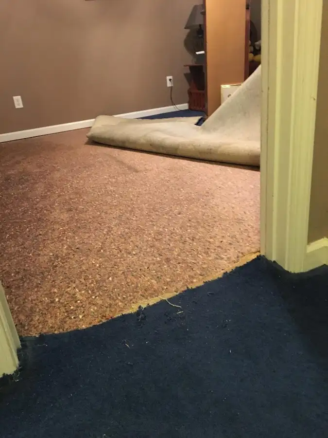 Carpet pad removal revealing water damage during Drying & Dehumidification in Ledyard