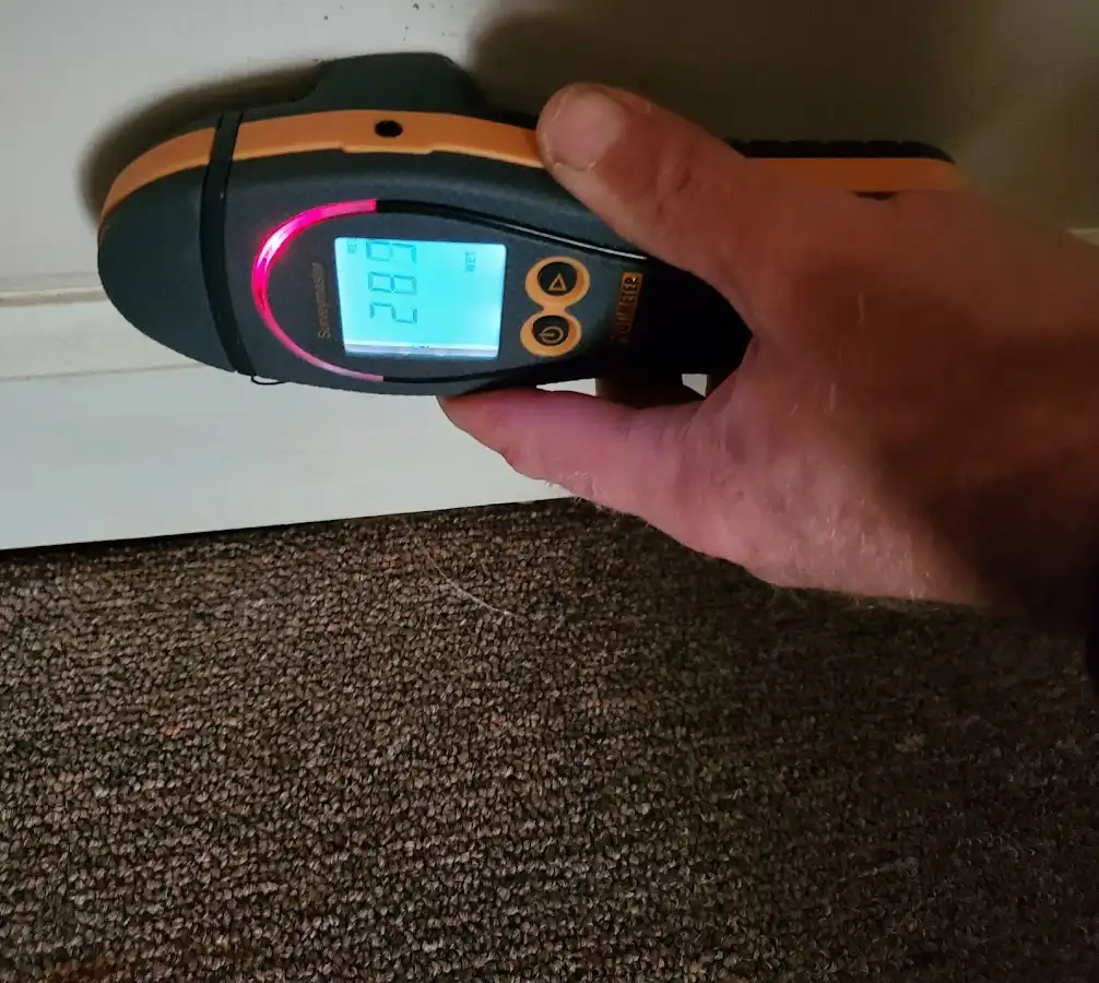 Moisture detection at baseboard during Sewage Cleanup & Sanitation in Ledyard